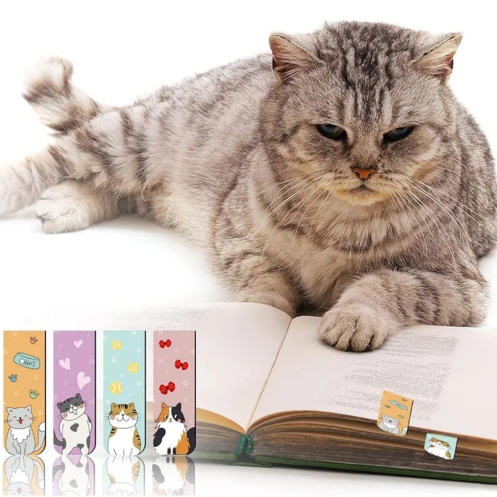 N/A adorable cat